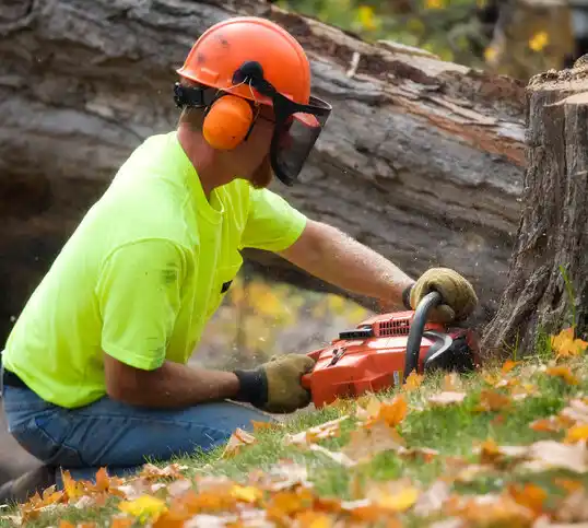 tree services Mattapoisett Center